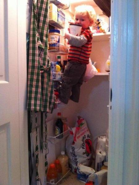Daily Picdump