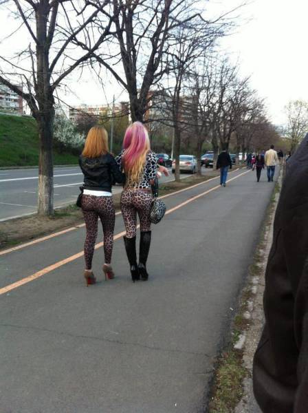 Daily Picdump