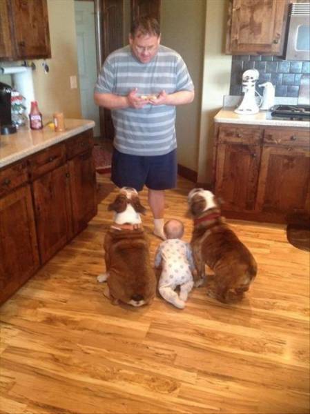 Daily Picdump