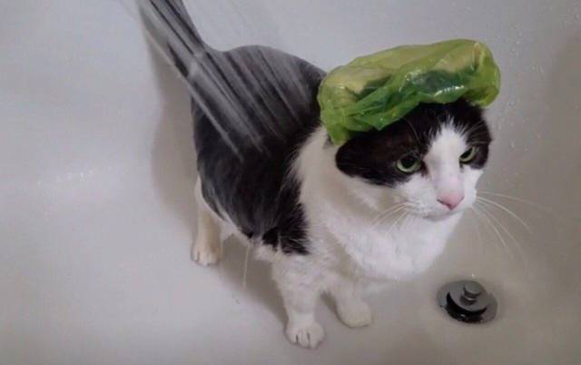 Daily Picdump