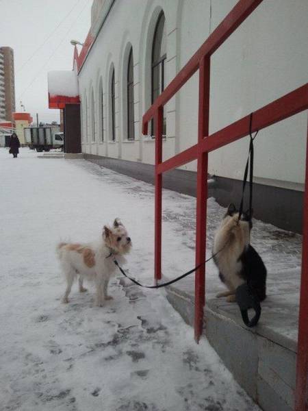 Daily Picdump