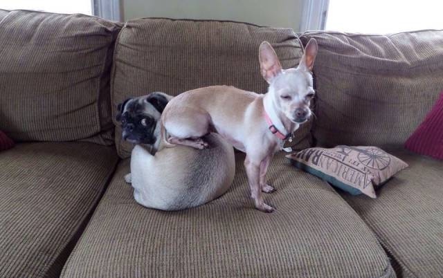 Daily Picdump