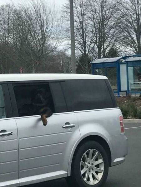 Daily Picdump