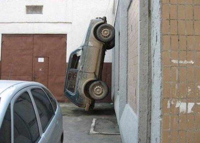 Daily Picdump