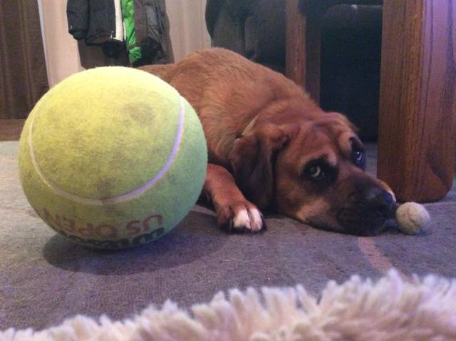 Morning Picdump