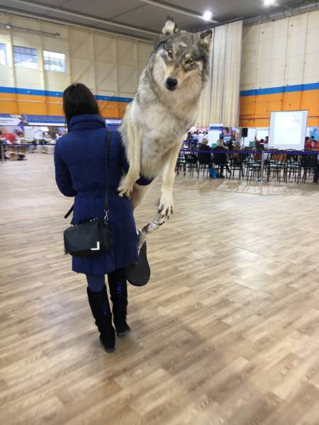 Morning Picdump