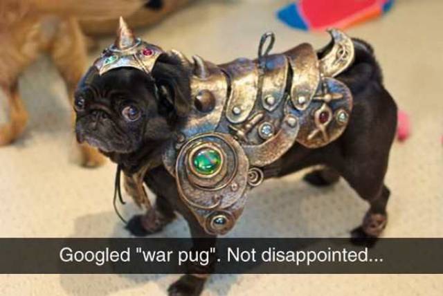Daily Picdump