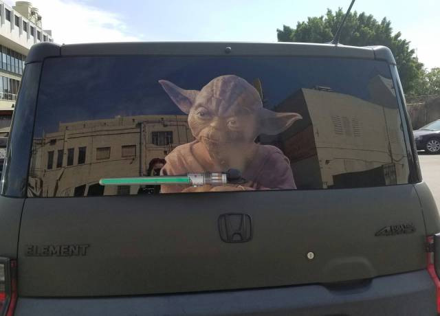 Daily Picdump
