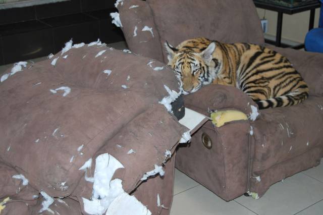Daily Picdump