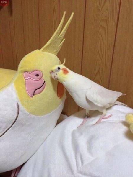 Daily Picdump