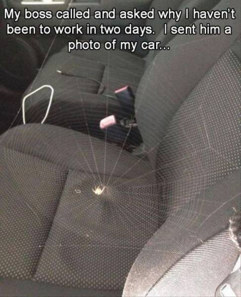 Daily Picdump