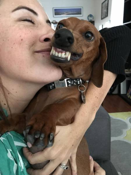 Daily Picdump