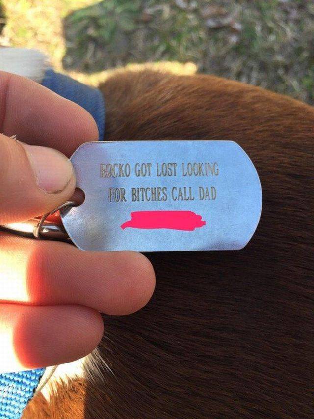 Daily Picdump