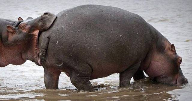 Daily Picdump