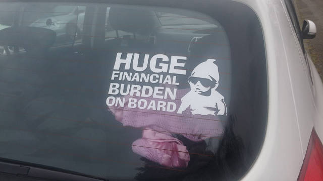 Morning Picdump