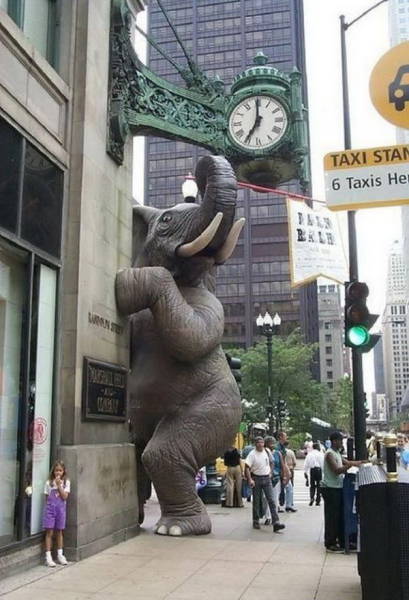 Morning Picdump