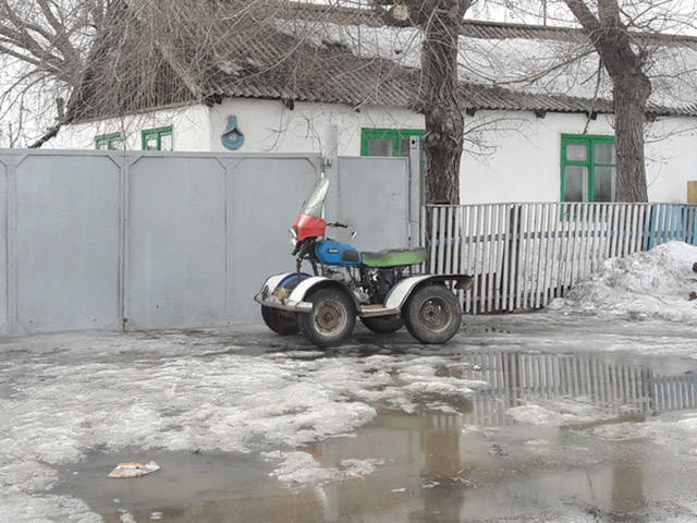 Morning Picdump
