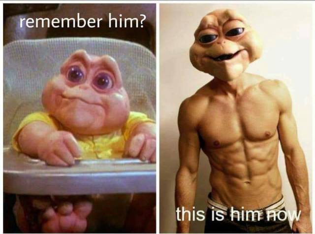 Funny Picdump