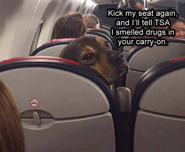 Funny Picdump