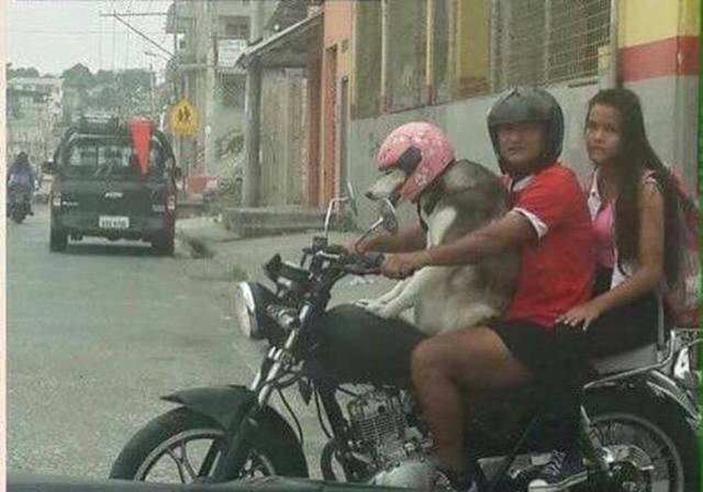 Morning Picdump