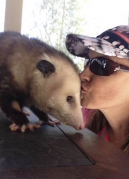 Daily Picdump [WEEKEND EDITION]