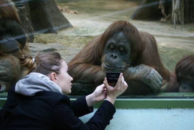 Daily Picdump [WEEKEND EDITION]