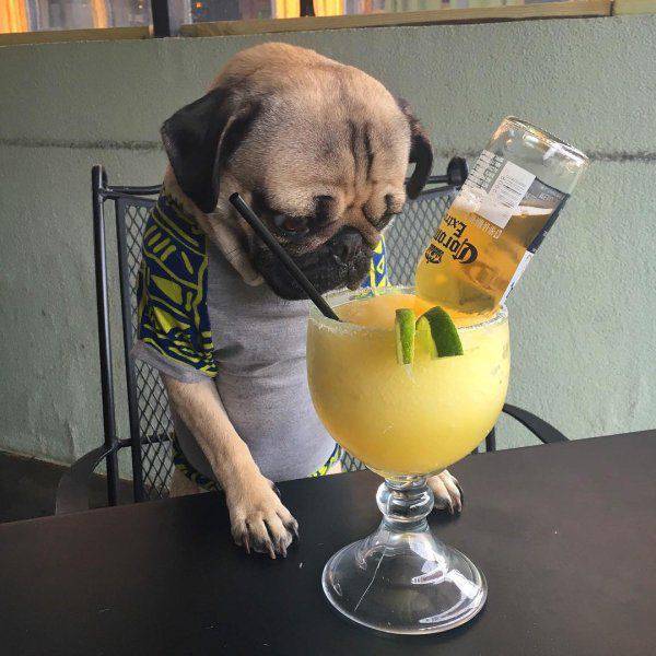 Daily Picdump [WEEKEND EDITION]