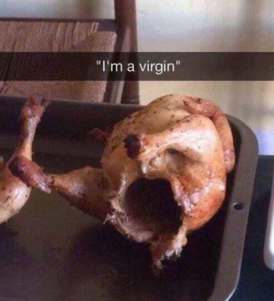 Daily Picdump