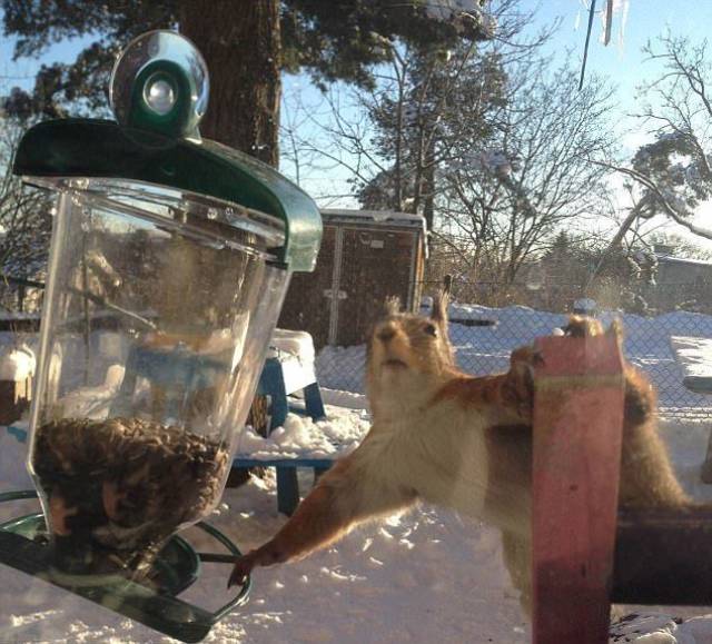 Daily Picdump