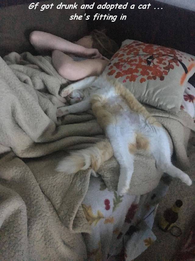 Daily Picdump