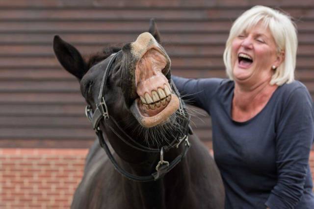 Daily Picdump