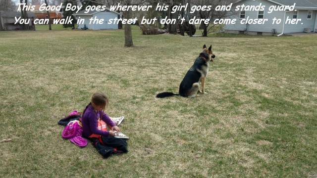 Daily Picdump