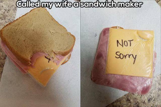 Daily Picdump