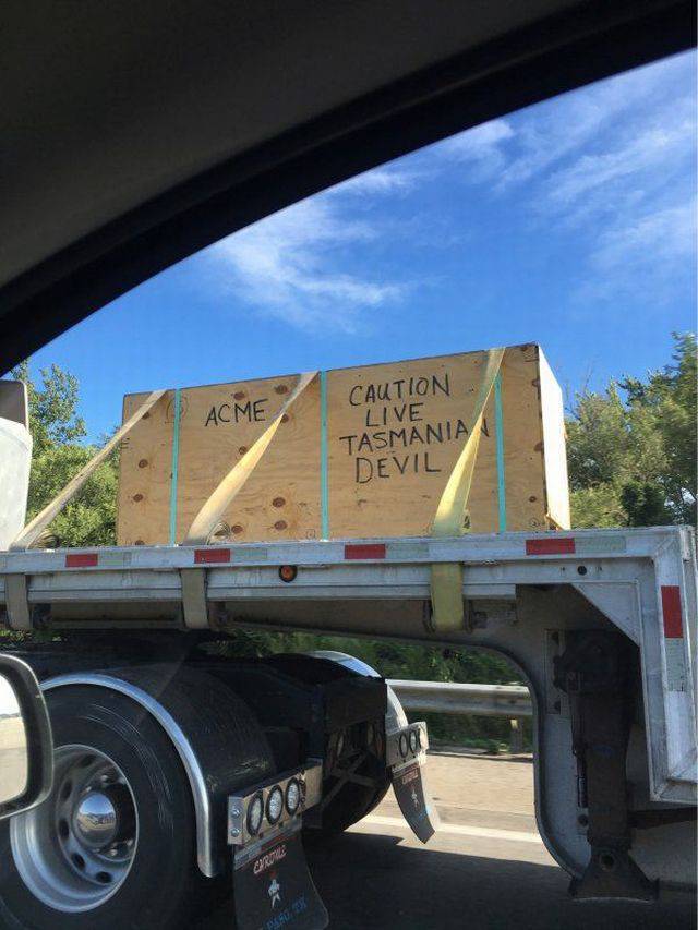 Daily Picdump