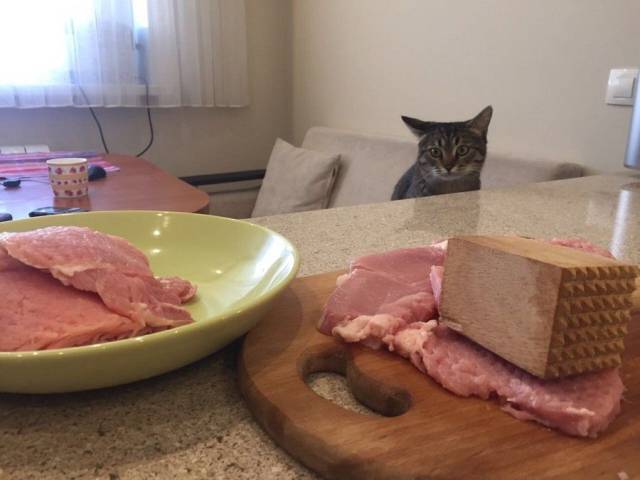 Daily Picdump