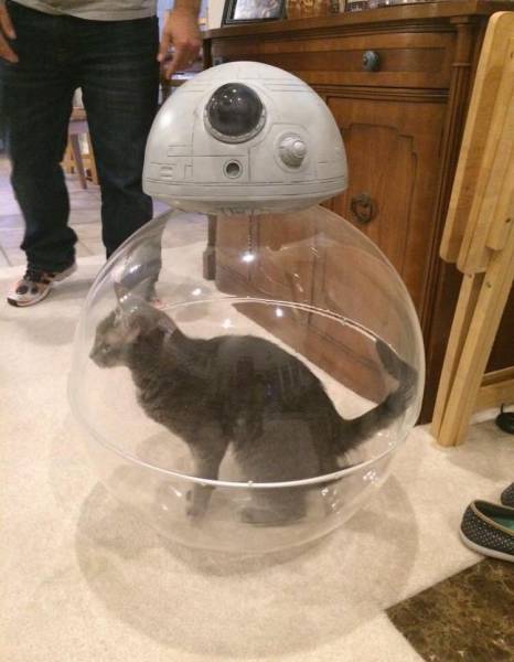 Morning Picdump