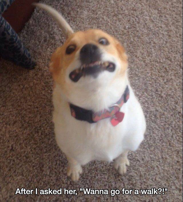 Daily Picdump