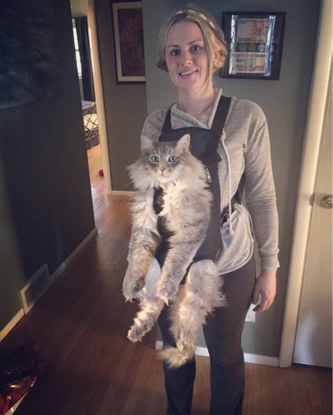 Morning Picdump