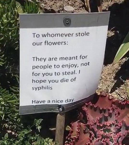 Daily Picdump [WEEKEND EDITION]