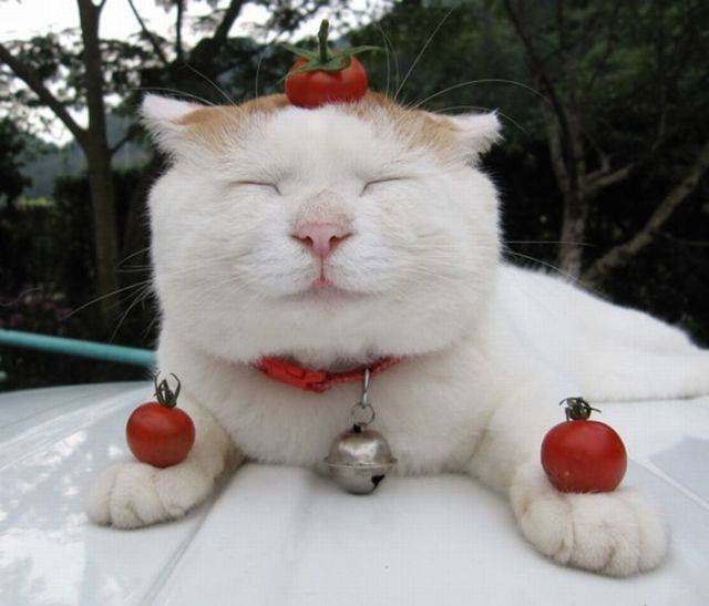 Daily Picdump [WEEKEND EDITION]