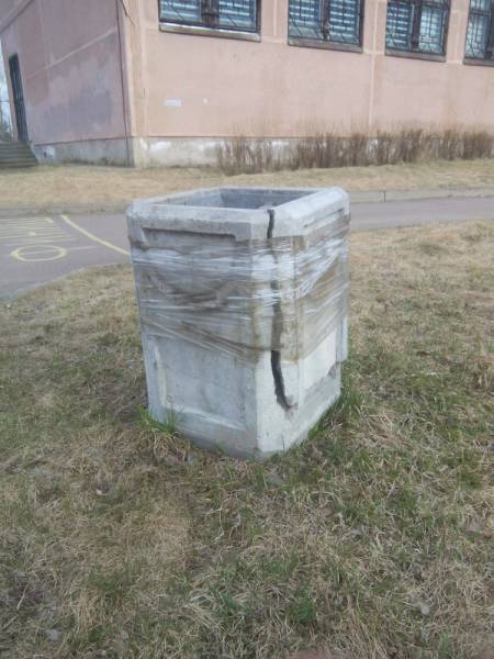 Morning Picdump