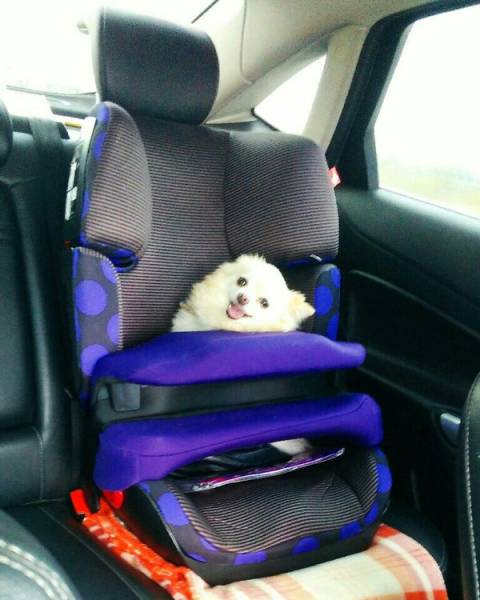 Morning Picdump