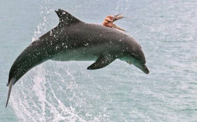 Daily Picdump