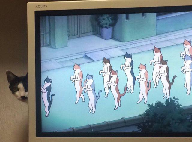 Daily Picdump