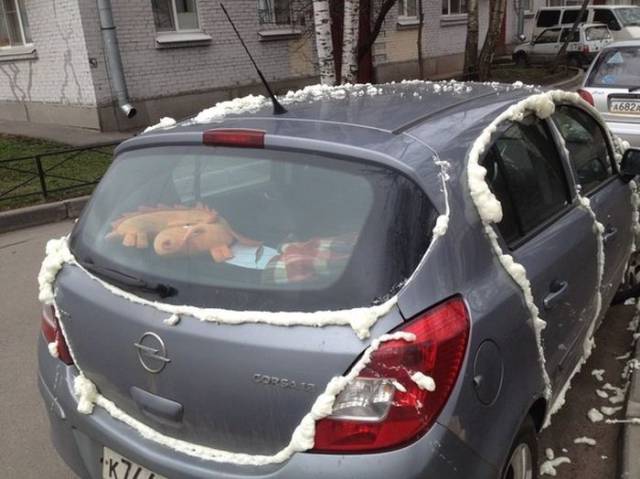 Daily Picdump