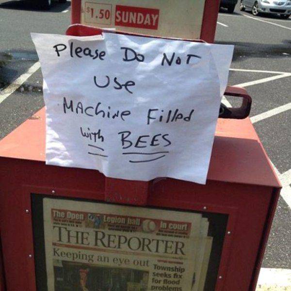 Daily Picdump