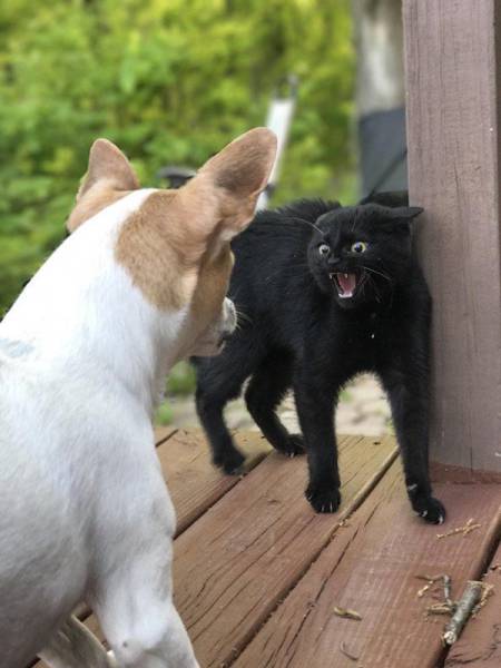 Daily Picdump