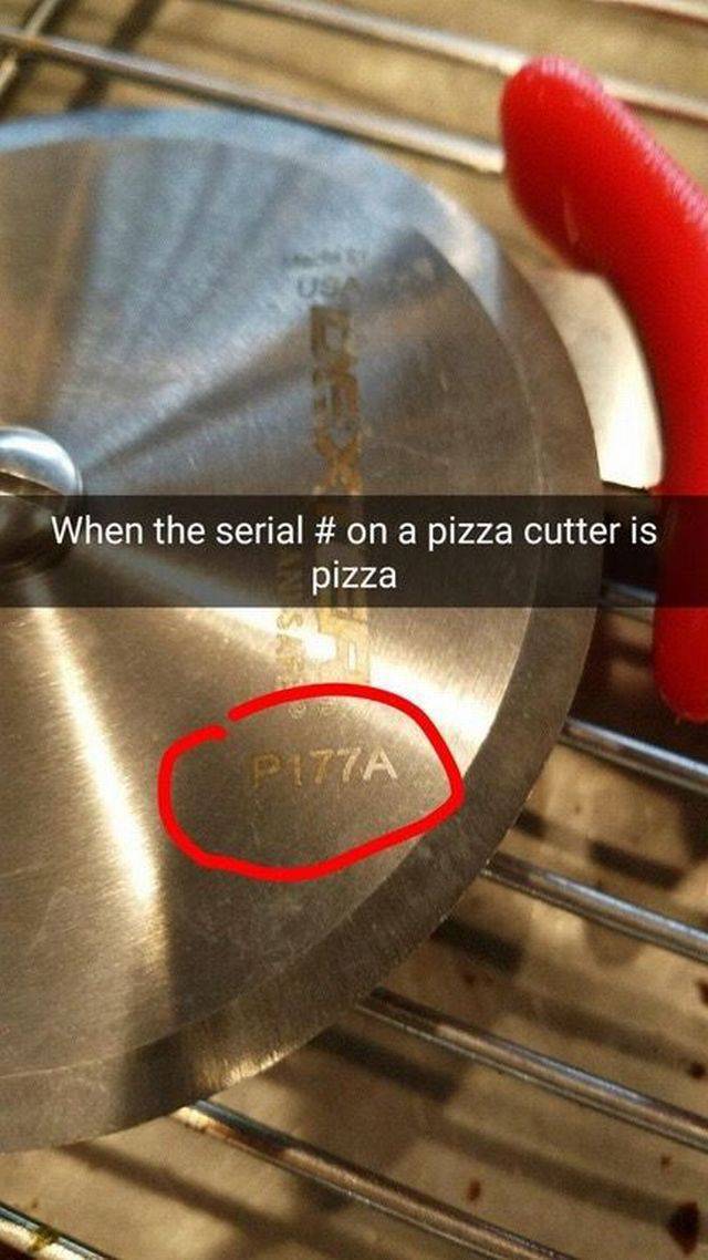 Daily Picdump