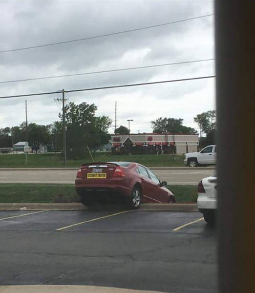 Morning Picdump