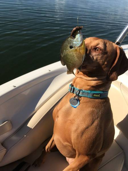 Daily Picdump [WEEKEND EDITION]